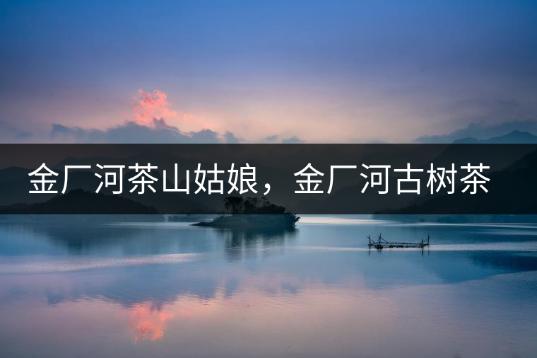金廠河茶山姑娘，金廠河古樹茶特點與價格
