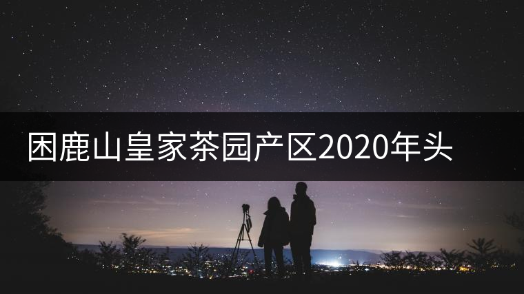 困鹿山皇家茶園產(chǎn)區(qū)2020年頭春古樹(shù)，白花林口感特點(diǎn)