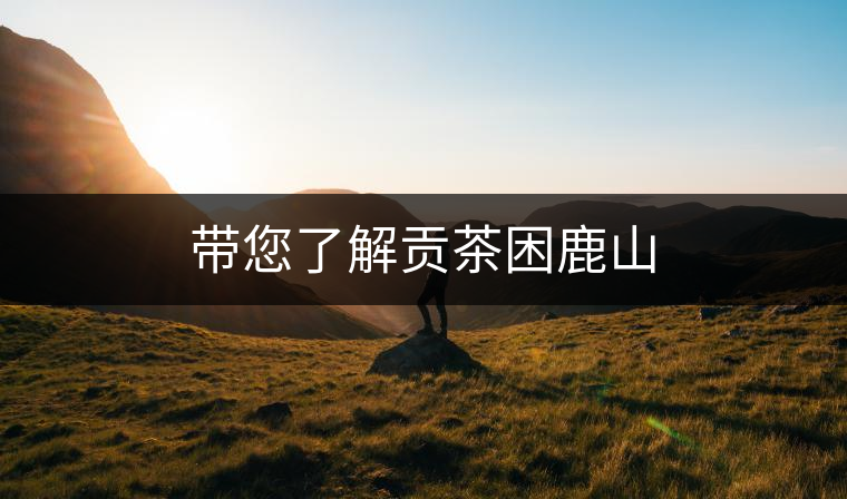 帶您了解貢茶困鹿山 帶您了解貢茶困鹿山