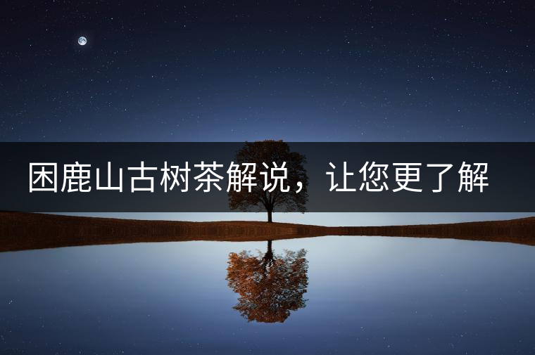 困鹿山古樹茶解說，讓您更了解古樹貢茶