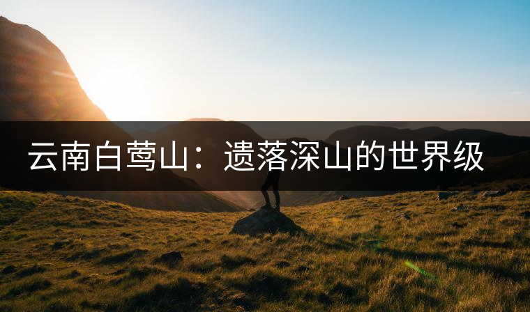 云南白鶯山:遺落深山的世界級(jí)“茶博物館” 云南白鶯山:遺落深山的世界級(jí)“茶博物館”