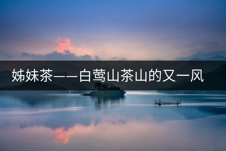 姊妹茶——白鶯山茶山的又一風景線 姊妹茶——白鶯山茶山的又一風景線
