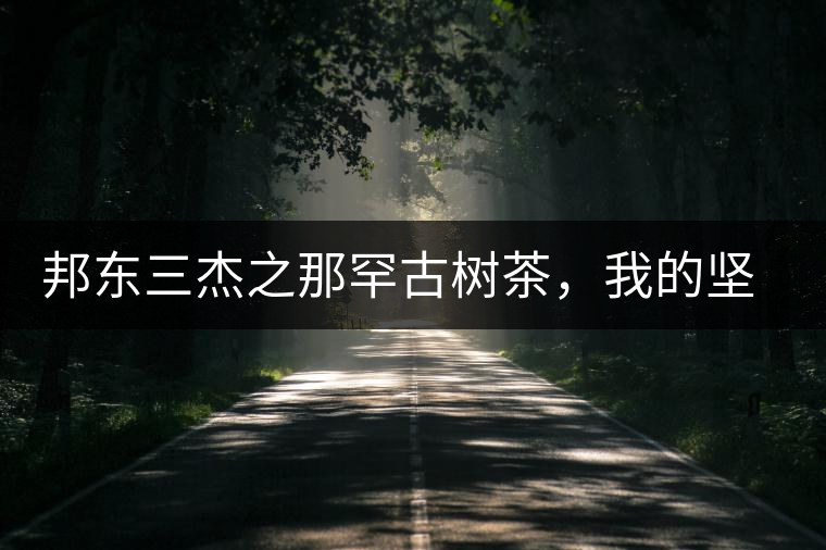 邦東三杰之那罕古樹茶，我的堅持