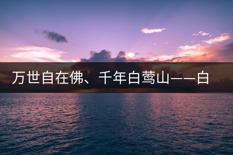 萬世自在佛、千年白鶯山——白鶯山古樹茶特點(diǎn)