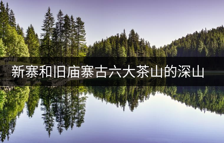 新寨和舊廟寨古六大茶山的深山之處 新寨和舊廟寨古六大茶山的深山之處