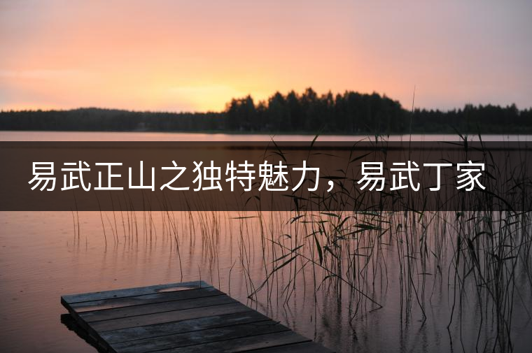 易武正山之獨(dú)特魅力，易武丁家寨介紹品鑒