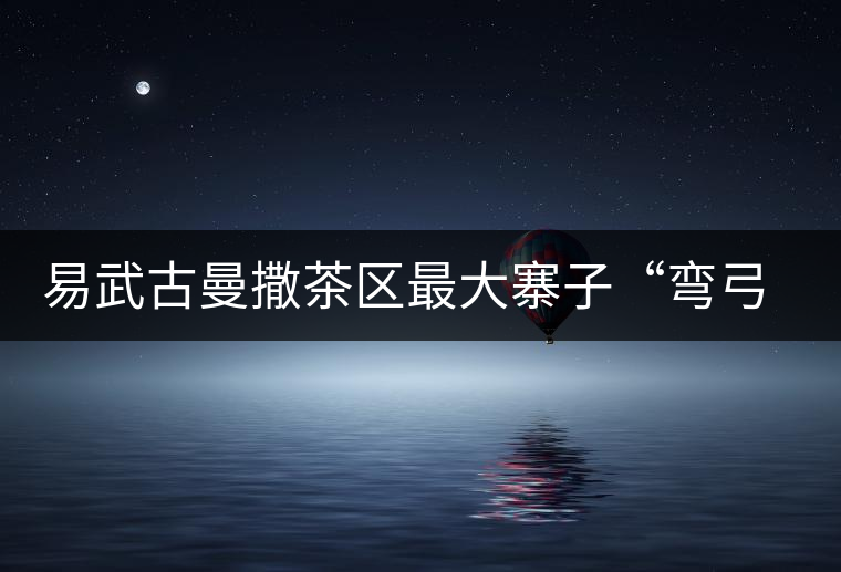 易武古曼撒茶區(qū)最大寨子“彎弓”丁家寨茶山實錄