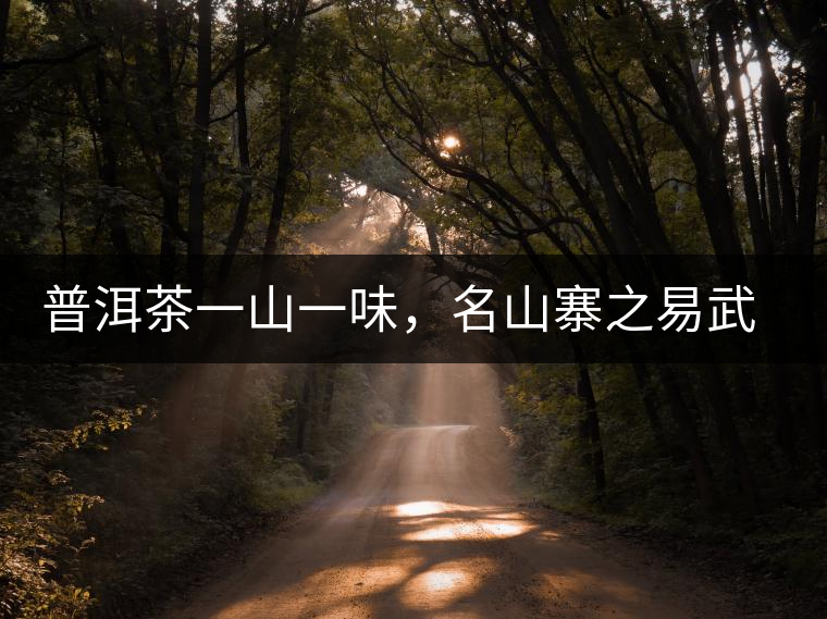 普洱茶一山一味，名山寨之易武彎弓瑤族丁家寨