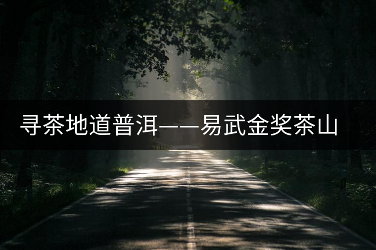 尋茶地道普洱——易武金獎茶山曼秀