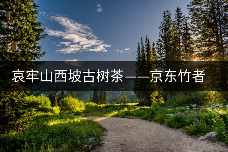 哀牢山西坡古樹茶——京東竹者村古樹茶特點 哀牢山西坡古樹茶——京東竹者村古樹茶特點