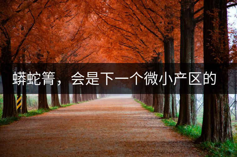 蟒蛇箐，會是下一個微小產(chǎn)區(qū)的熱門山頭嗎？