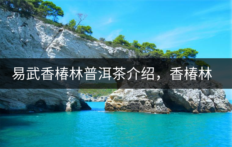 易武香椿林普洱茶介紹，香椿林古樹茶口感特點(diǎn)