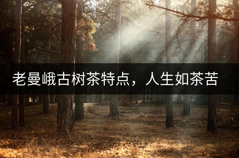 老曼峨古樹茶特點(diǎn)，人生如茶苦盡甘來