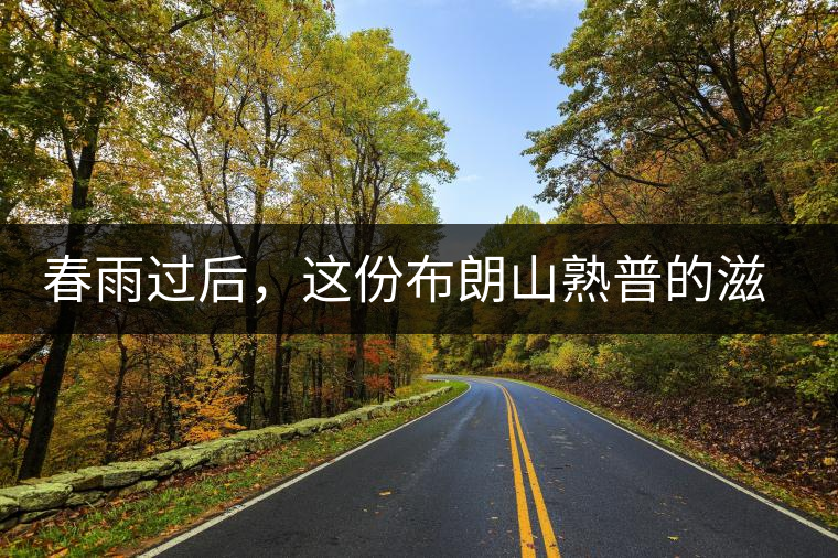 春雨過后，這份布朗山熟普的滋味正當(dāng)時(shí)