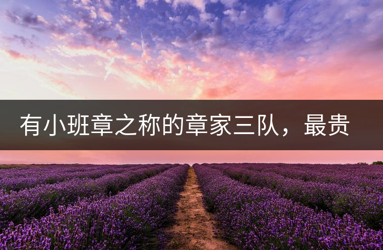 有小班章之稱的章家三隊，最貴的小樹茶