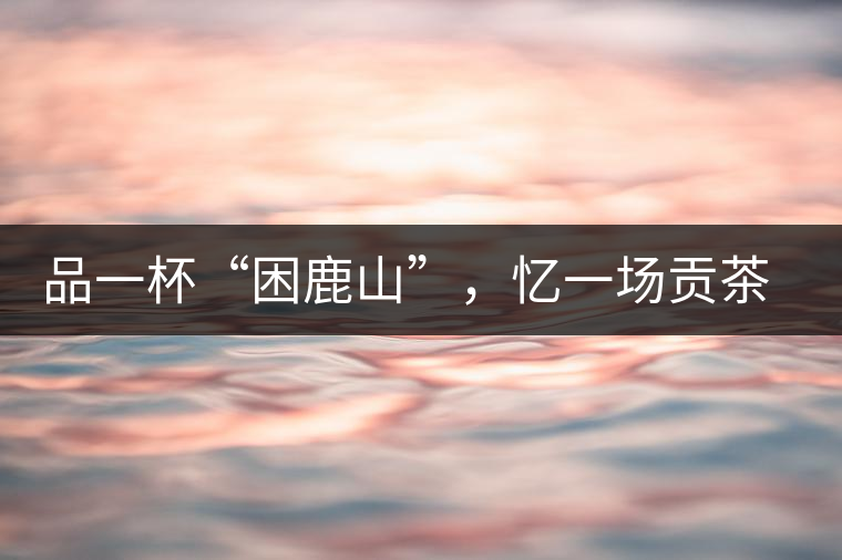 品一杯“困鹿山”，憶一場貢茶情