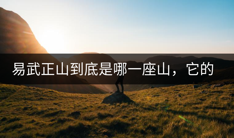 易武正山到底是哪一座山，它的含義你了解嗎？