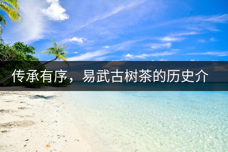 傳承有序，易武古樹茶的歷史介紹