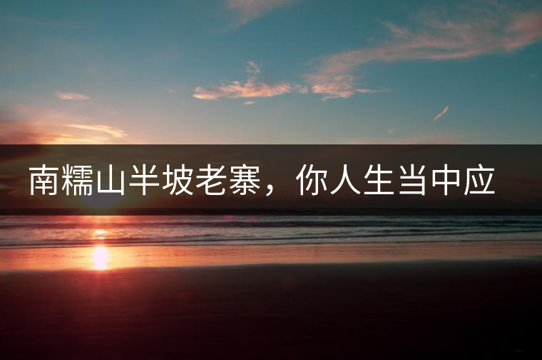 南糯山半坡老寨，你人生當(dāng)中應(yīng)該入手的第一片勐海味古樹純料普洱茶