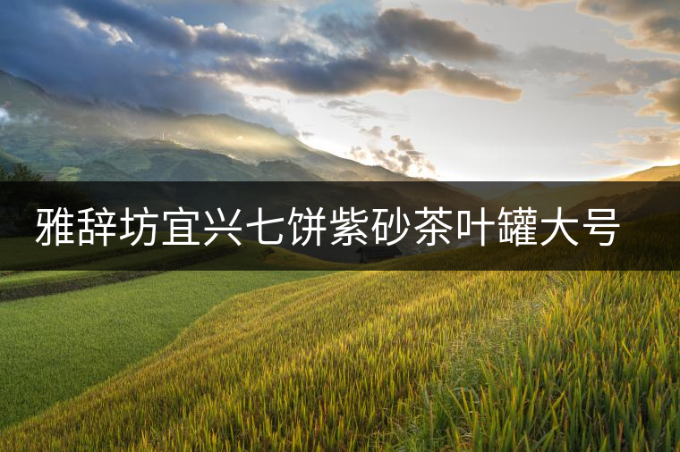 雅辭坊宜興七餅紫砂茶葉罐大號(hào)普洱存儲(chǔ)茶罐缸家用密封罐陶瓷茶具