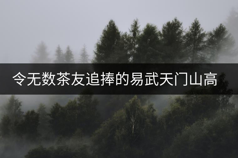令無數(shù)茶友追捧的易武天門山高桿古樹介紹 令無數(shù)茶友追捧的易武天門山高桿古樹介紹