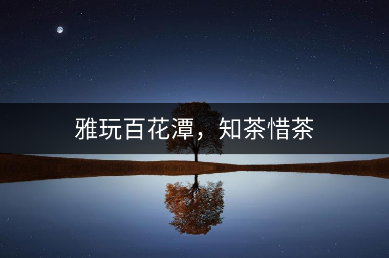 雅玩百花潭，知茶惜茶