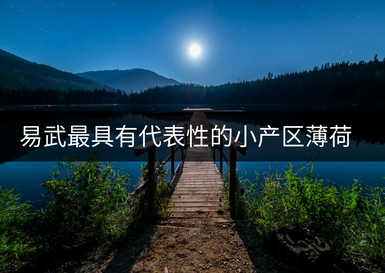 易武最具有代表性的小產(chǎn)區(qū)薄荷塘，一滴都不舍得浪費