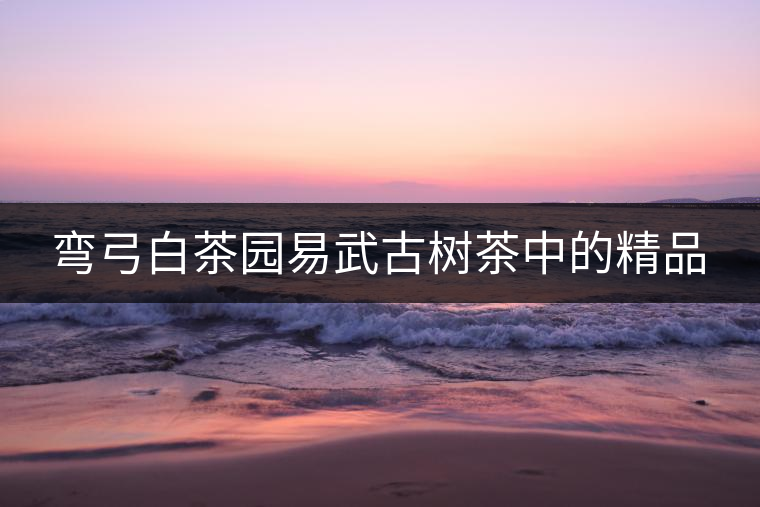 彎弓白茶園易武古樹(shù)茶中的精品 彎弓白茶園易武古樹(shù)茶中的精品