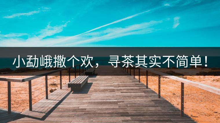 小勐峨撒個(gè)歡，尋茶其實(shí)不簡單！