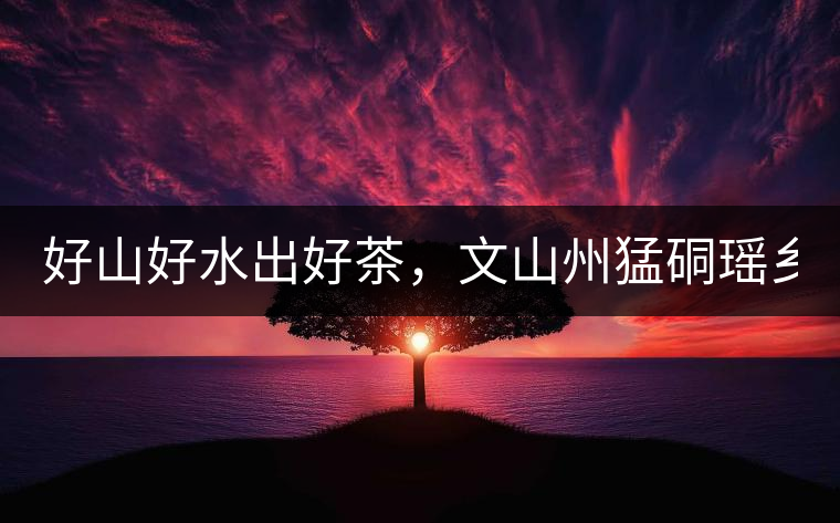 好山好水出好茶，文山州猛硐瑤鄉(xiāng)茶！