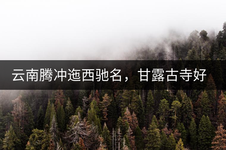 云南騰沖迤西馳名，甘露古寺好茶