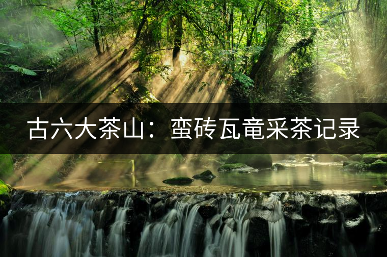 古六大茶山：蠻磚瓦竜采茶記錄