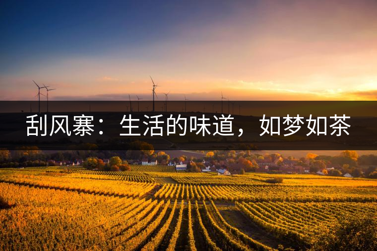 刮風(fēng)寨：生活的味道，如夢(mèng)如茶