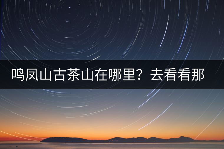 鳴鳳山古茶山在哪里？去看看那鳳凰曾經(jīng)落腳的地方
