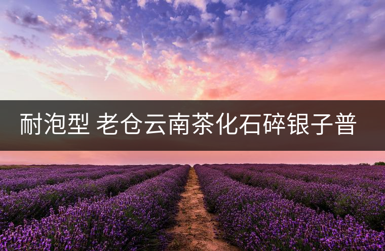 耐泡型 老倉(cāng)云南茶化石碎銀子普洱熟茶糯米香茶老茶頭散茶葉250g 耐泡型 老倉(cāng)云南茶化石碎銀子普洱熟茶糯米香茶老茶頭散茶葉250g