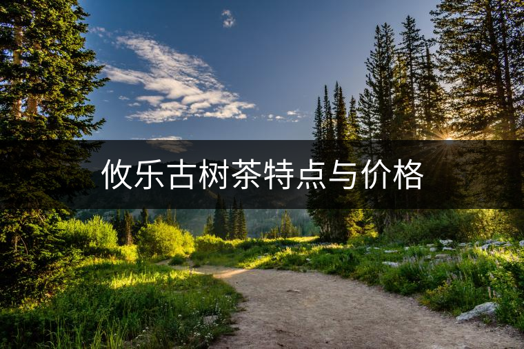 攸樂古樹茶特點與價格 攸樂古樹茶特點與價格