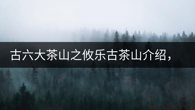 古六大茶山之攸樂古茶山介紹，攸樂古樹茶口感特點