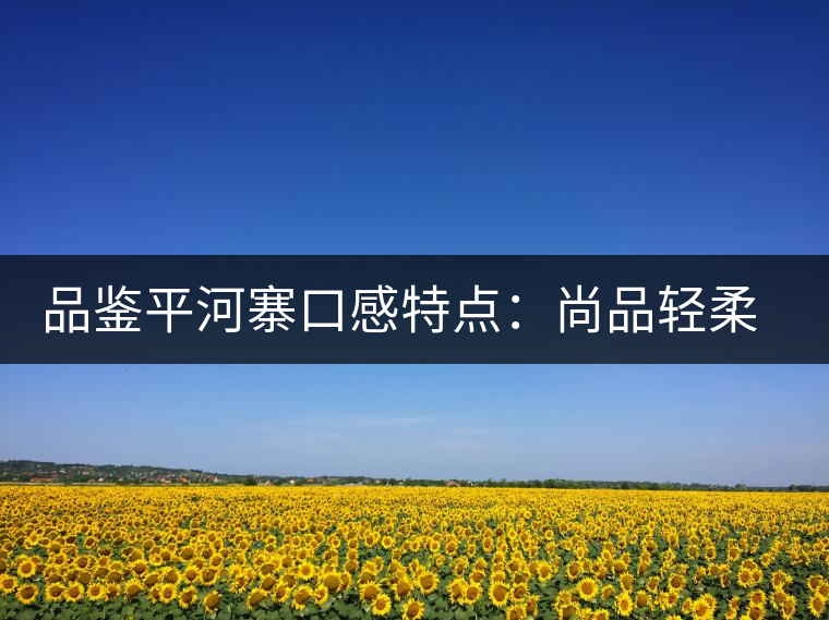品鑒平河寨口感特點(diǎn)：尚品輕柔，清涼獨(dú)特