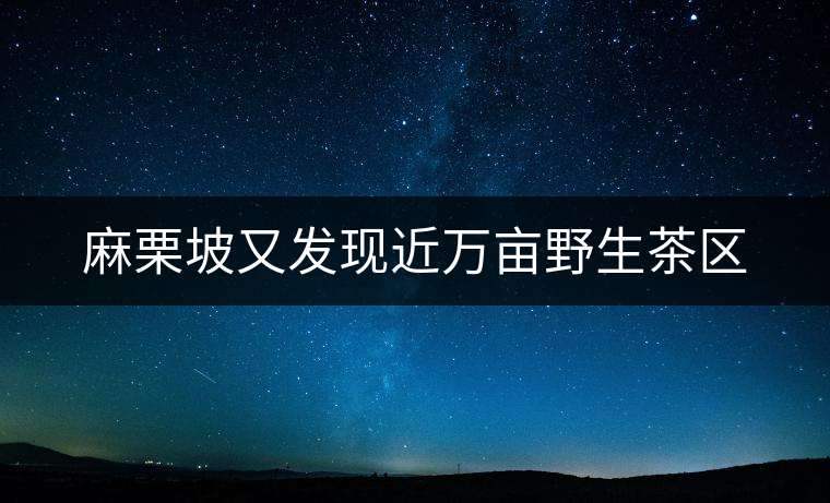 麻栗坡又發(fā)現(xiàn)近萬(wàn)畝野生茶區(qū) 麻栗坡又發(fā)現(xiàn)近萬(wàn)畝野生茶區(qū)