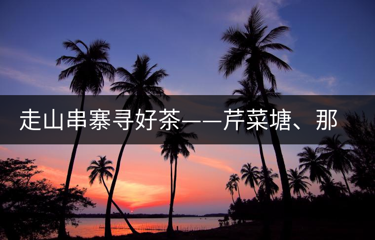 走山串寨尋好茶——芹菜塘、那罕、曼崗、昔歸