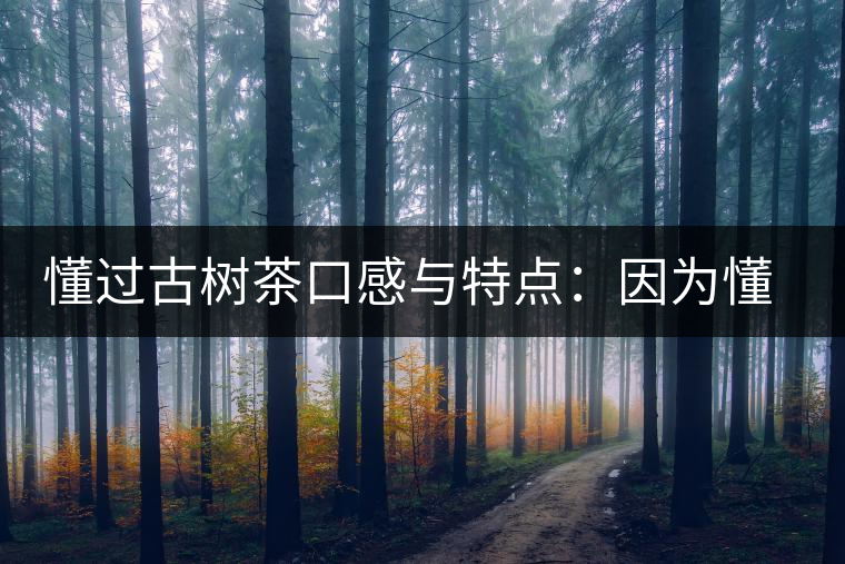 懂過古樹茶口感與特點：因為懂得，所以舍得用余生來珍惜！