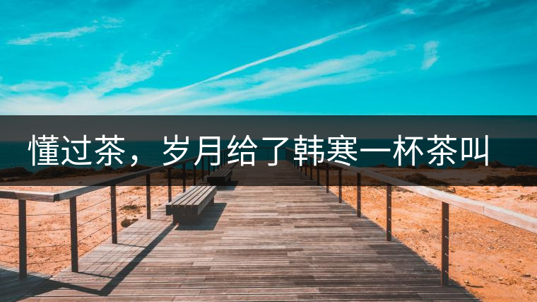 懂過茶，歲月給了韓寒一杯茶叫懂過