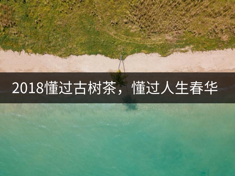 2018懂過古樹茶，懂過人生春華秋實(shí)！