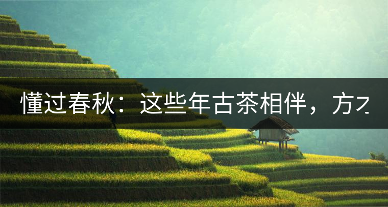 懂過春秋：這些年古茶相伴，方才懂過！