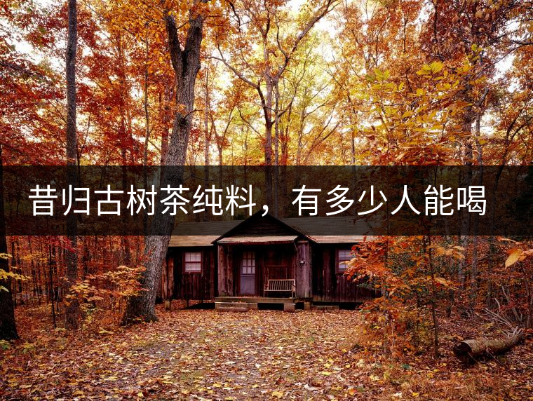 昔歸古樹(shù)茶純料，有多少人能喝到真品