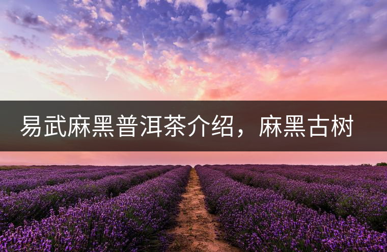 易武麻黑普洱茶介紹，麻黑古樹(shù)茶口感特點(diǎn)