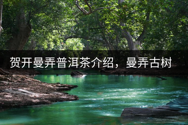 賀開曼弄普洱茶介紹，曼弄古樹茶口感特點(diǎn)