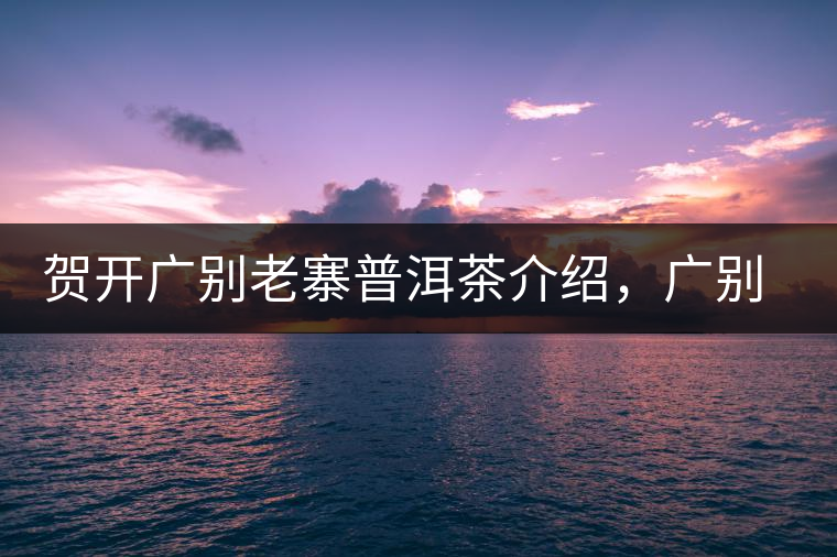 賀開廣別老寨普洱茶介紹，廣別老寨古樹茶口感特點(diǎn)