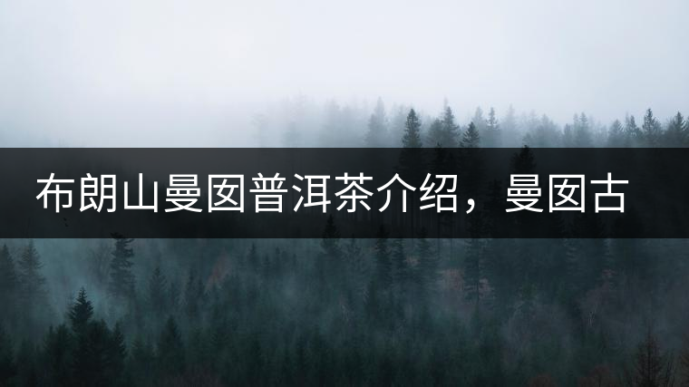 布朗山曼囡普洱茶介紹，曼囡古樹(shù)茶口感特點(diǎn)