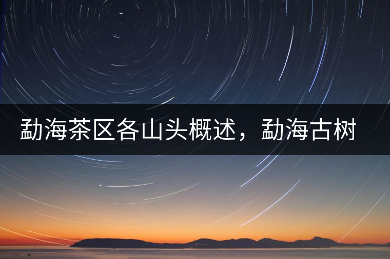 勐海茶區(qū)各山頭概述，勐海古樹茶口感特點